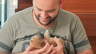 Одну большую картофелину в мундире, пожалуйста
