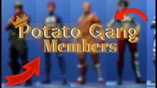Introducing Potato Gang | MEMBERS