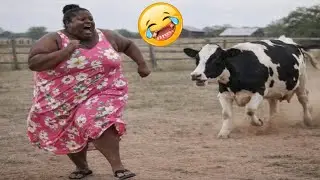 Try Not to Laugh Challenge #8 😂 Best Funny Moments of the week 🤣