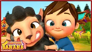 La Danse du Mouton Noir | plus de chansons pour enfants | Banana Cartoon LE Français