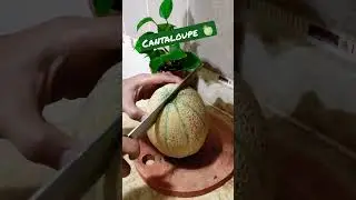 Melon 🍈🥰 Amazing Color  #shorts #melon #cantaloupe #cuttingasmr #amazing