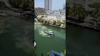 Tugboat WORKING 💪 Cargo Ship | Miami River #nowakezone #miami #tugboat #boatfails #wideload