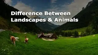 Animal Communication Basics : Difference Between Speaking To Landscapes & Animals