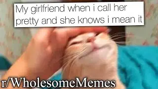 Самые милые мемы в интернете