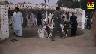 Pakistan Saraiki Culture | Mela Beaskhi Bail Daur 2022 | Besakhi Mela Festival In Punjab 2022
