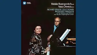 Cello Sonata in F Major, Op. 6: II. Andante ma non troppo