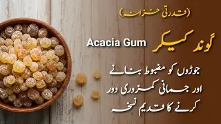 Gond Keekar &ndash; Joron, Kamzori Aur Taqat Ke Liye Kitna Faida Mand Hai?