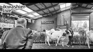Rundveekeuring @ Broederschool Biotechnische en Sport - ikwashier.live in Sint-Niklaas