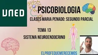 Psicobiologia UNED: TEMA 13 (Maria Penado)