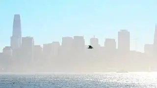 【風旅】Gigi 炎明熹