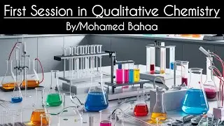 First Session in Qualitative Analysis
