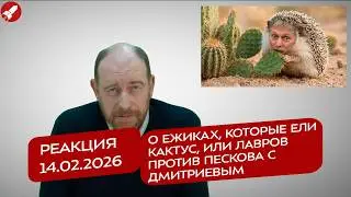 Reaction 02/14/2026: About hedgehogs who ate cactus, or Lavrov versus Peskov and Dmitriev