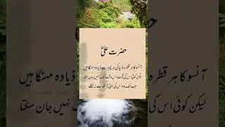 Islamic Quotes | Urdu Quotes | Shorts Video | Viral | Trending Shorts | Viral Shorts | Faizi Speech