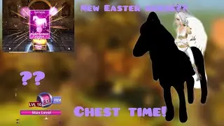 Chest Time! | Horse Riding Tales | Quinn Destiny Hrt