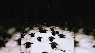 [FREE] $UICIDEBOY$ TYPE BEAT 