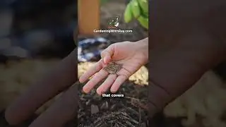 The Seed Bank Mistake Almost Everyone Makes