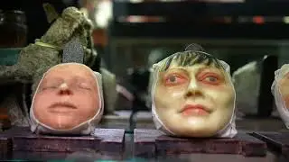 Museum of Curiosities - Dublin's Strangest Museum