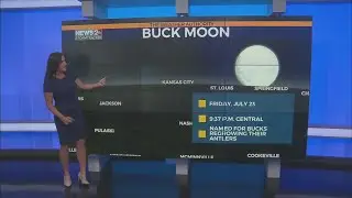 When to View the Buck Moon