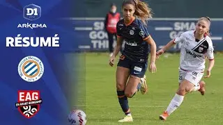 J17 : Montpellier HSC - EA Guingamp (6-0)