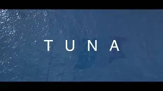 Bluefin tuna on the fly