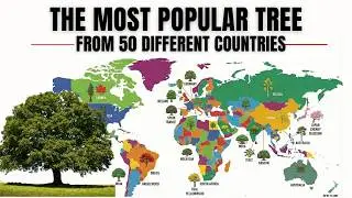 What is the National Tree of Your Country? 🗺️ | 50 Nature Symbols Revealed 🍂