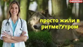 Почему зарядка после 60 ускоряет потерю мышц? Парадокс сардинских долгожителей | ЗДОРОВЬЕ ДАРОМ