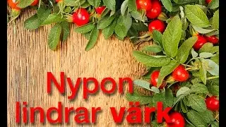 Nypon lindrar v&auml;rk