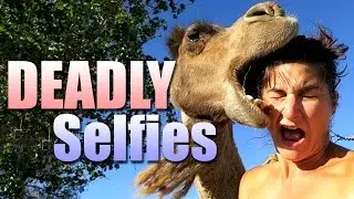 Top 10 Deadly & Dangerous Selfies