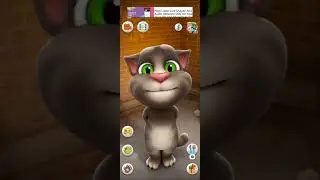 pad mara tom