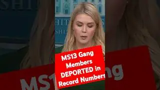 MS13 Gang Members DEPORTED in Record Numbers