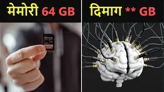 What Is The Storage Capacity Of Human Brain? In Hindi | The Most Amazing Facts In The World | EP 10