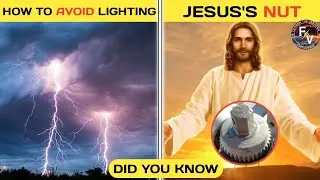 What is Jesus&rsquo;s Nut? | How to Avoid Lightning Strike ⚡ | Top 10 Amazing Facts in Hindi |