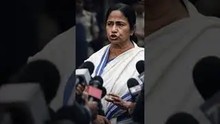 Court Speaks: No Room for Emotional Politics #shorts #youtubeshorts