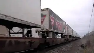 CP 131 