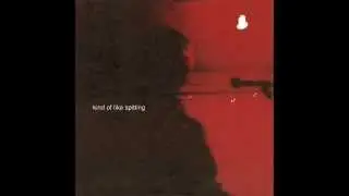 Kind of Like Spitting - Birds of a Feather (7