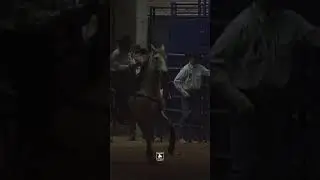 Kelly Yates 2001 NFR Round 2