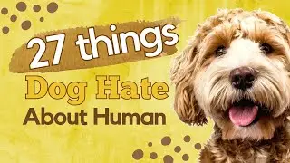 27 Things Dogs Hate About Humans