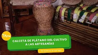 Calceta de plátano: Del cultivo a las artesanías- TvAgro por Juan Gonzalo Angel Restrepo