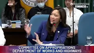COMMITTEE ON APPROPRIATIONS - DEPARTMENT OF SOCIAL WELFARE AND DEVELOPMENT
