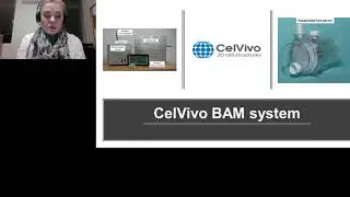 Two-Dimensional and Three-Dimensional Cell Culture, Does Dimension Really Matter?