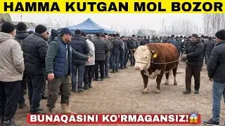 Энди Нима Булади? Хамма Мол Бозорда Наманган Тергачи Сотилган Мол Нархлари #2026 #молбозорлар 