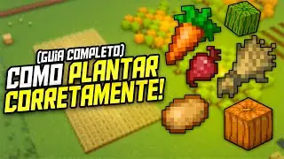 Guia para Plantações no Minecraft - Como plantar de maneira Eficiente!