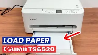 Как загрузить бумагу в Canon PIXMA TS6520