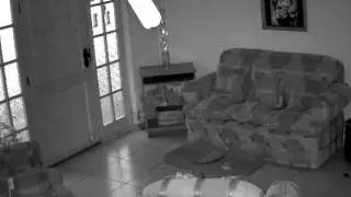 Alinking ALC-9852.flv