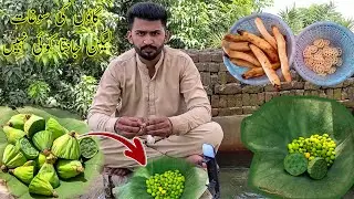 70% Percent People😲 Of Pakistan🇵🇰 Are Not😱 Aware Of This🥰 Village Gift🎁💫#village #villagevlog