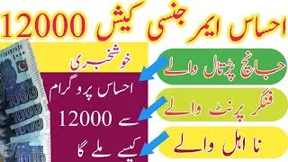 Ehsaas Emergency Cash 12000 Fingerprint || Ehsas Emergency Cash 12000 Janch Partal | Kafalat Program