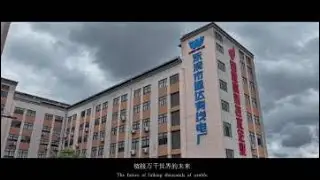 YUEQING TONGDA WIRE ELECTRIC FACTORY(2025)