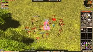 Metin2 UK - Red Wood Hackers.. AGAIN !!