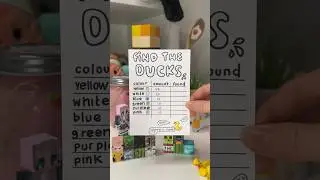 Hiding 100 tiny DUCKS for my boyfriend to find!