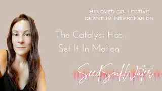 Divine Identity Activation Brought This Catalyst [Shifting Timelines] Beloved Collective